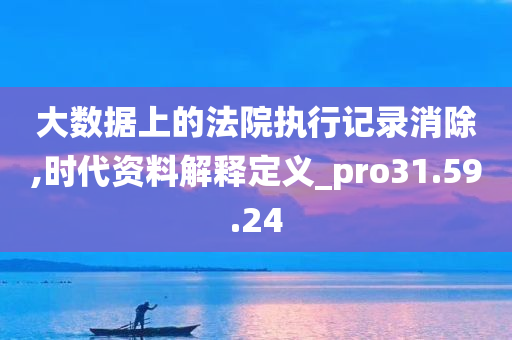 大数据上的法院执行记录消除,时代资料解释定义_pro31.59.24