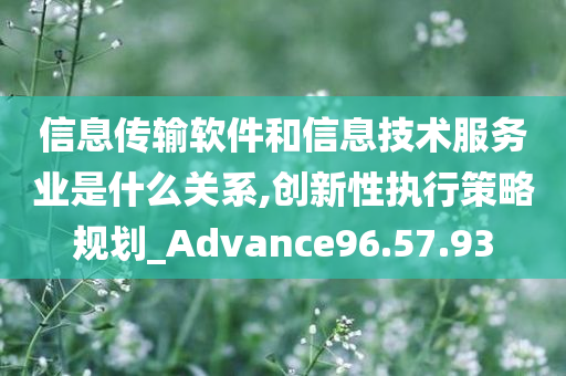 信息传输软件和信息技术服务业是什么关系,创新性执行策略规划_Advance96.57.93