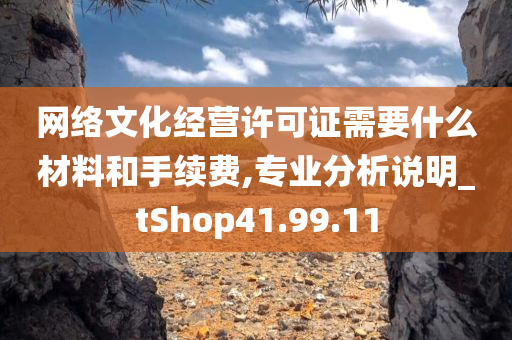 网络文化经营许可证需要什么材料和手续费,专业分析说明_tShop41.99.11