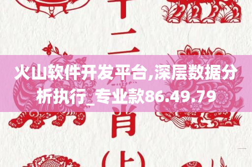 火山软件开发平台,深层数据分析执行_专业款86.49.79