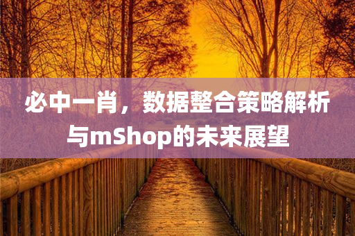 必中一肖，数据整合策略解析与mShop的未来展望