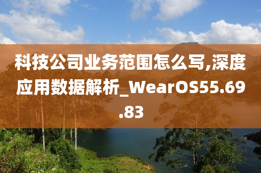 科技公司业务范围怎么写,深度应用数据解析_WearOS55.69.83