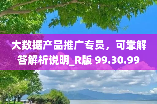 大数据产品推广专员，可靠解答解析说明_R版 99.30.99