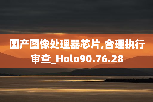 国产图像处理器芯片,合理执行审查_Holo90.76.28