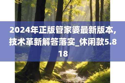 2024年正版管家婆最新版本,技术革新解答落实_休闲款5.818