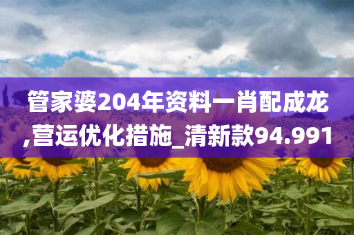 管家婆204年资料一肖配成龙,营运优化措施_清新款94.991