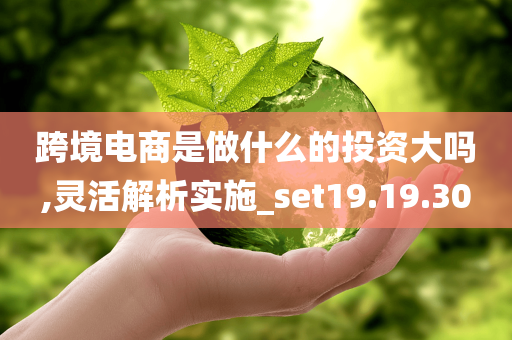 跨境电商是做什么的投资大吗,灵活解析实施_set19.19.30