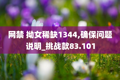 网禁 拗女稀缺1344,确保问题说明_挑战款83.101