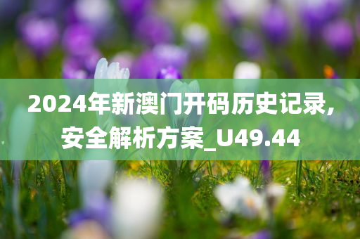 2024年新澳门开码历史记录,安全解析方案_U49.44