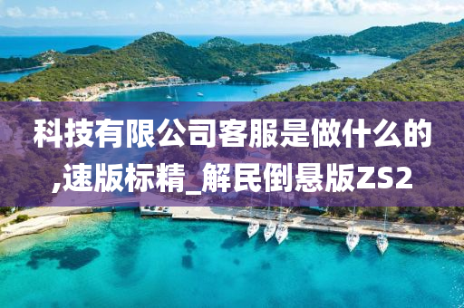 科技有限公司客服是做什么的,速版标精_解民倒悬版ZS2