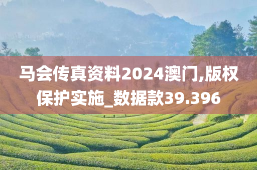 马会传真资料2024澳门,版权保护实施_数据款39.396