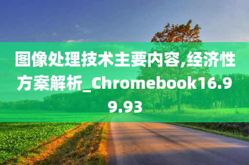 图像处理技术主要内容,经济性方案解析_Chromebook16.99.93