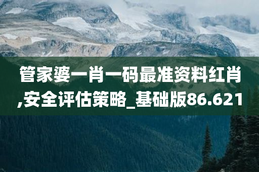 管家婆一肖一码最准资料红肖,安全评估策略_基础版86.621