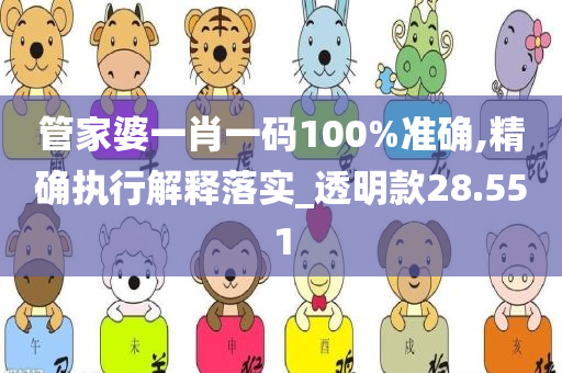 管家婆一肖一码100%准确,精确执行解释落实_透明款28.551