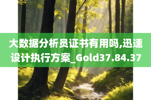 大数据分析员证书有用吗,迅速设计执行方案_Gold37.84.37