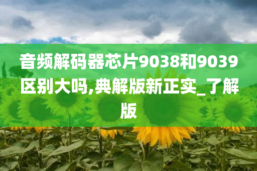 音频解码器芯片9038和9039区别大吗,典解版新正实_了解版