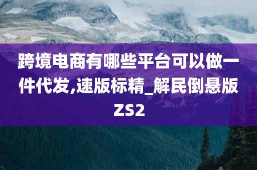 跨境电商有哪些平台可以做一件代发,速版标精_解民倒悬版ZS2