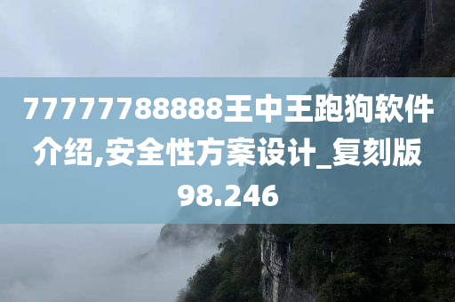 77777788888王中王跑狗软件介绍,安全性方案设计_复刻版98.246