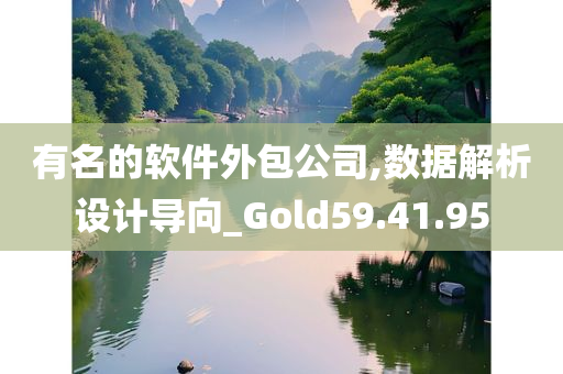 有名的软件外包公司,数据解析设计导向_Gold59.41.95