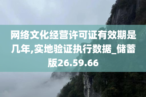 网络文化经营许可证有效期是几年,实地验证执行数据_储蓄版26.59.66