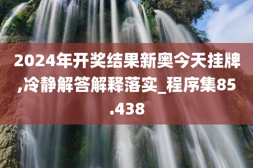 2024年开奖结果新奥今天挂牌,冷静解答解释落实_程序集85.438