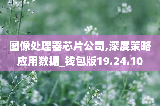 图像处理器芯片公司,深度策略应用数据_钱包版19.24.10