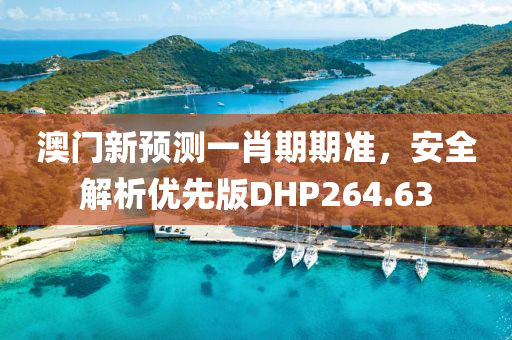 澳门新预测一肖期期准，安全解析优先版DHP264.63