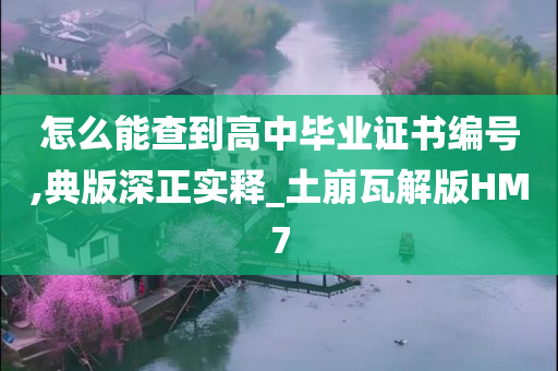 怎么能查到高中毕业证书编号,典版深正实释_土崩瓦解版HM7