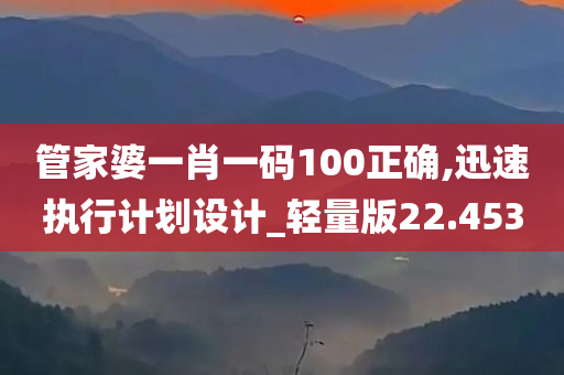 管家婆一肖一码100正确,迅速执行计划设计_轻量版22.453