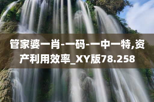 管家婆一肖-一码-一中一特,资产利用效率_XY版78.258