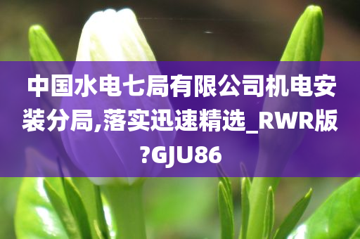 中国水电七局有限公司机电安装分局,落实迅速精选_RWR版?GJU86