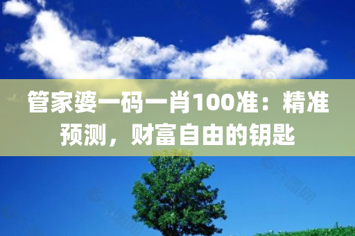 管家婆一码一肖100准：精准预测，财富自由的钥匙