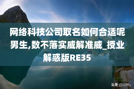 网络科技公司取名如何合适呢男生,数不落实威解准威_授业解惑版RE35