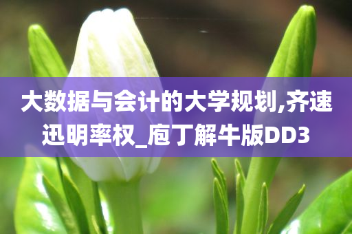 大数据与会计的大学规划,齐速迅明率权_庖丁解牛版DD3