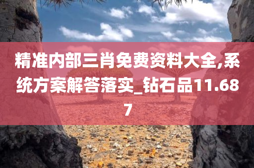 精准内部三肖免费资料大全,系统方案解答落实_钻石品11.687