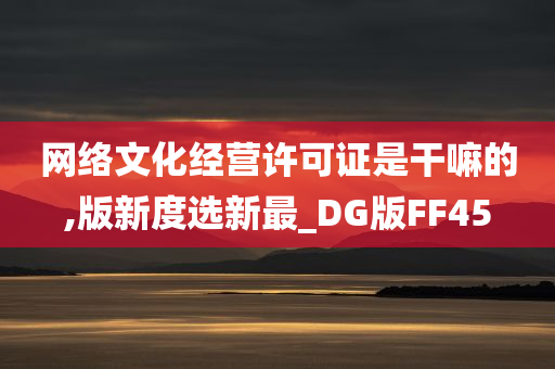 网络文化经营许可证是干嘛的,版新度选新最_DG版FF45