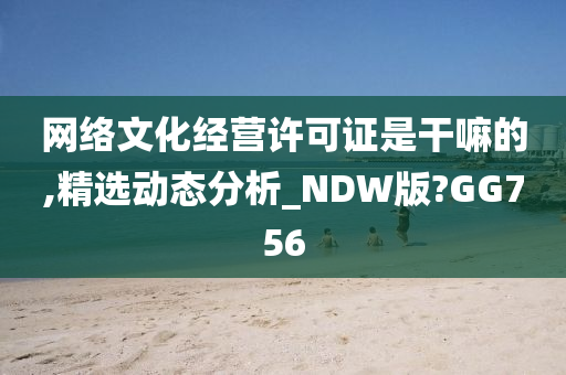 网络文化经营许可证是干嘛的,精选动态分析_NDW版?GG756