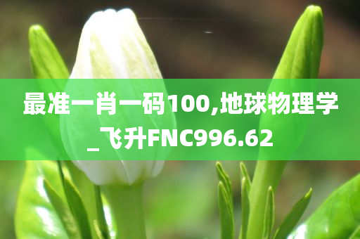 最准一肖一码100,地球物理学_飞升FNC996.62