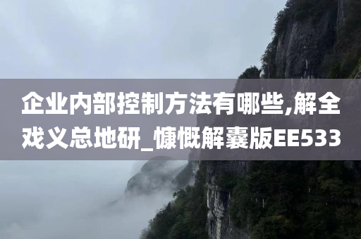 企业内部控制方法有哪些,解全戏义总地研_慷慨解囊版EE533