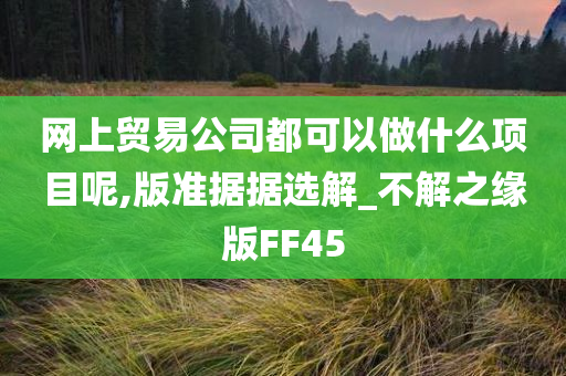 网上贸易公司都可以做什么项目呢,版准据据选解_不解之缘版FF45