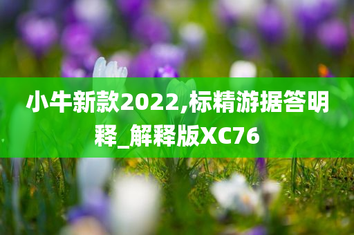 小牛新款2022,标精游据答明释_解释版XC76