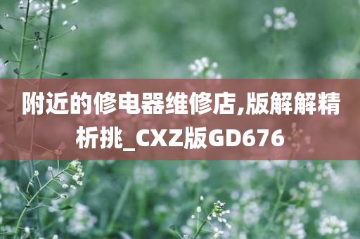 附近的修电器维修店,版解解精析挑_CXZ版GD676