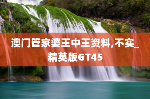 澳门管家婆王中王资料,不实_精英版GT45