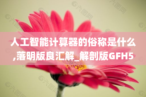 人工智能计算器的俗称是什么,落明版良汇解_解剖版GFH5