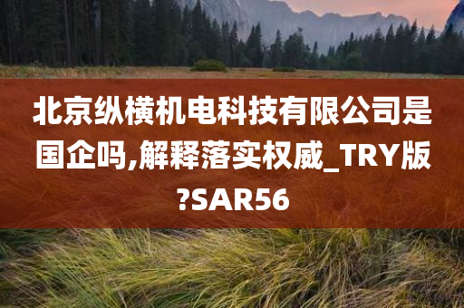 北京纵横机电科技有限公司是国企吗,解释落实权威_TRY版?SAR56