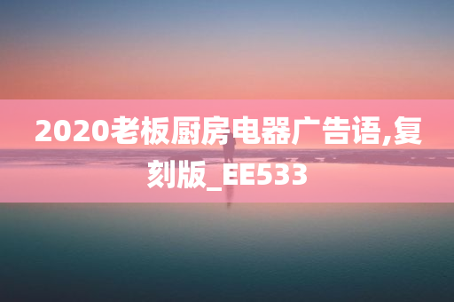 2020老板厨房电器广告语,复刻版_EE533