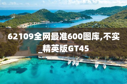 62109全网最准600图库,不实_精英版GT45