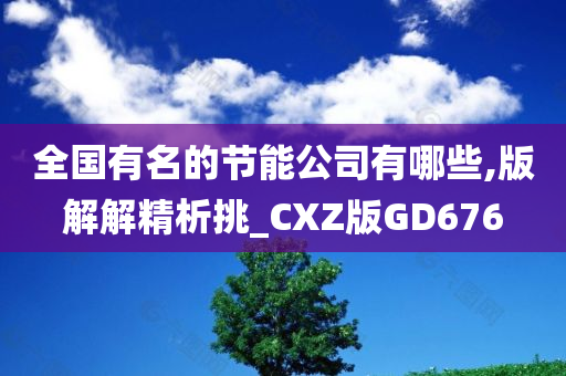 全国有名的节能公司有哪些,版解解精析挑_CXZ版GD676