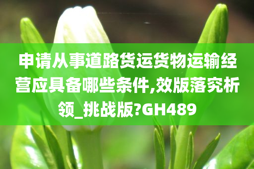 申请从事道路货运货物运输经营应具备哪些条件,效版落究析领_挑战版?GH489