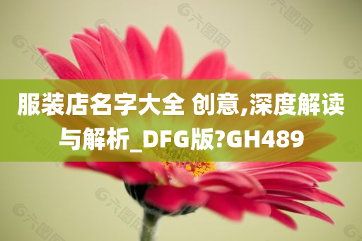 服装店名字大全 创意,深度解读与解析_DFG版?GH489